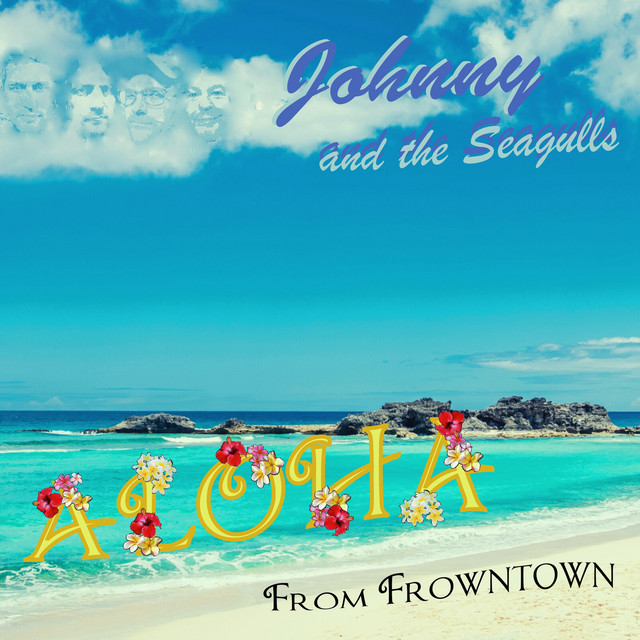 Aloha From Frowntown cover art