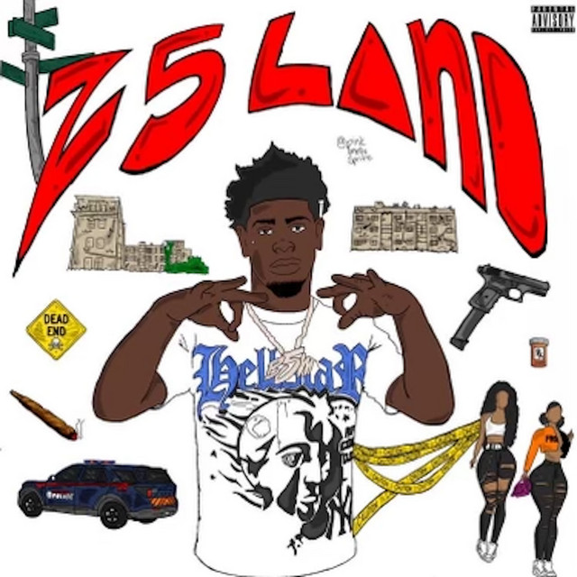 Z5 LAND cover art