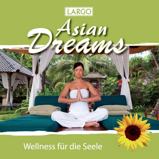 Asian Dreams - Entspannungsmusik für Tai Chi, Joga, Qi Gong und Meditation (GEMA-frei) cover art