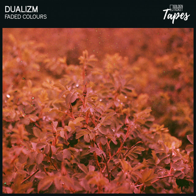 Faded Colours cover art