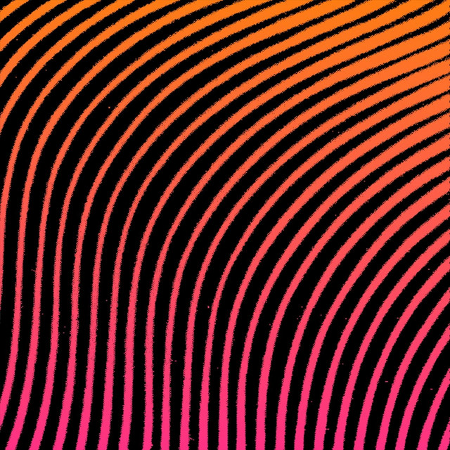 SXD cover