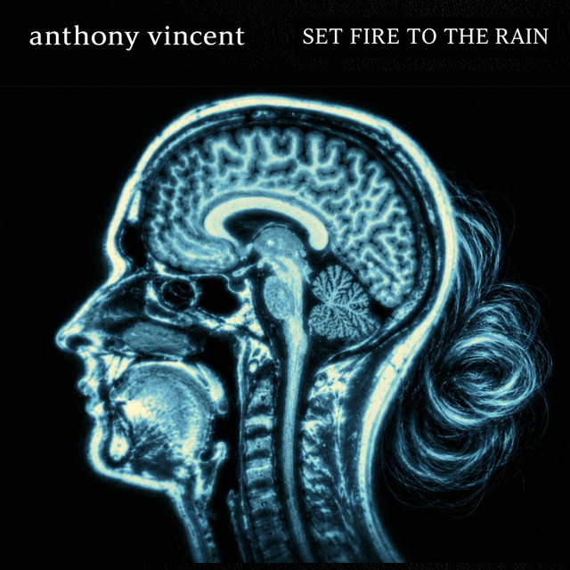 Set Fire to the Rain (In the style of Breaking Benjamin) cover