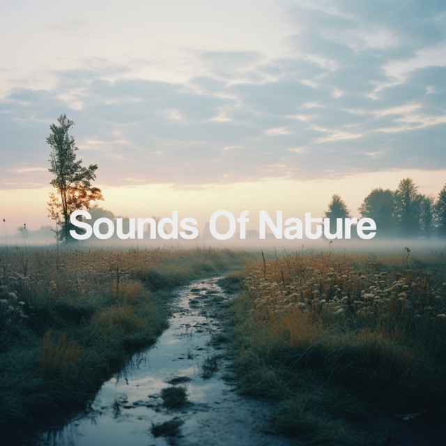 Sounds Of Nature - Album by Sleep Sounds of Nature | Spotify