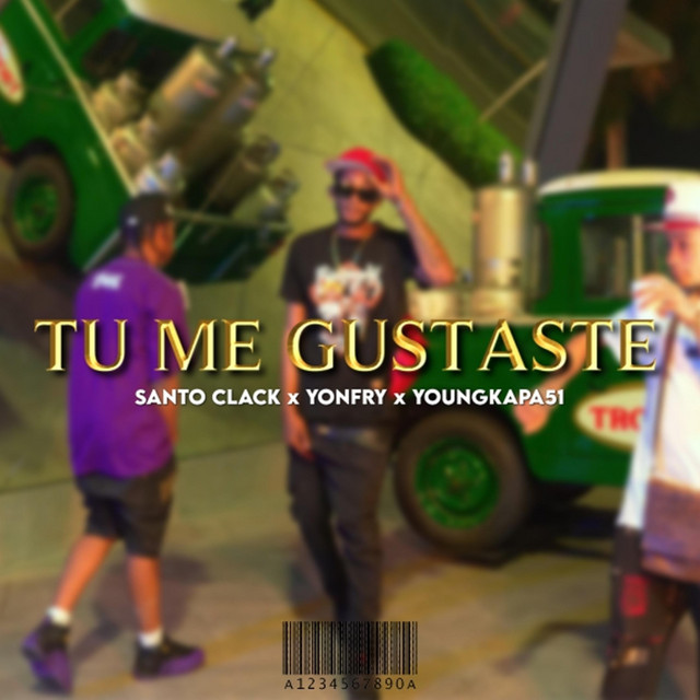 Me Gustaste