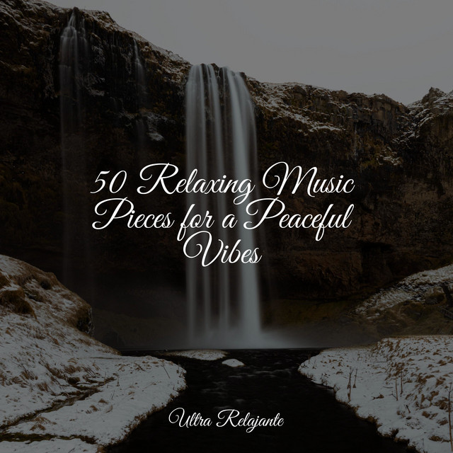 50 Relaxing Music Pieces for a Peaceful Vibes - Album by Namaste Yoga ...