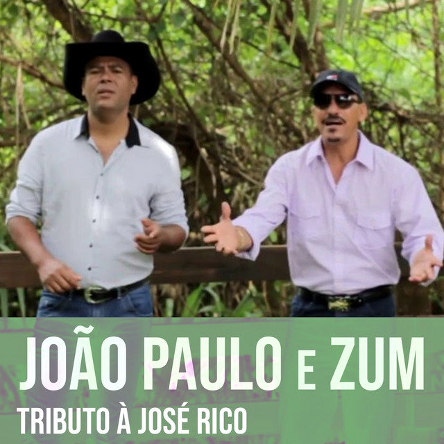 Tributo à José Rico cover art