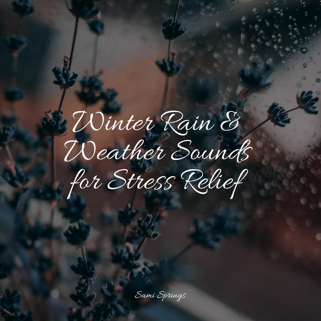 50 Nature Sounds for Deep Sleep and Chilling Out - Album by Lullaby ...