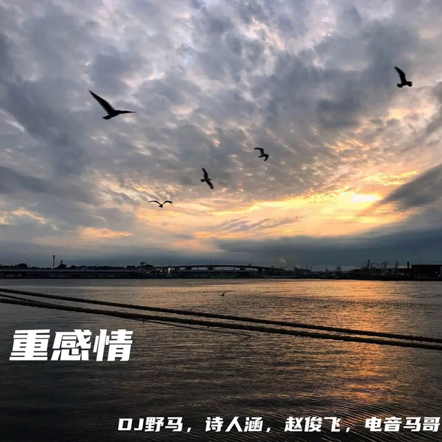 重感情 cover art
