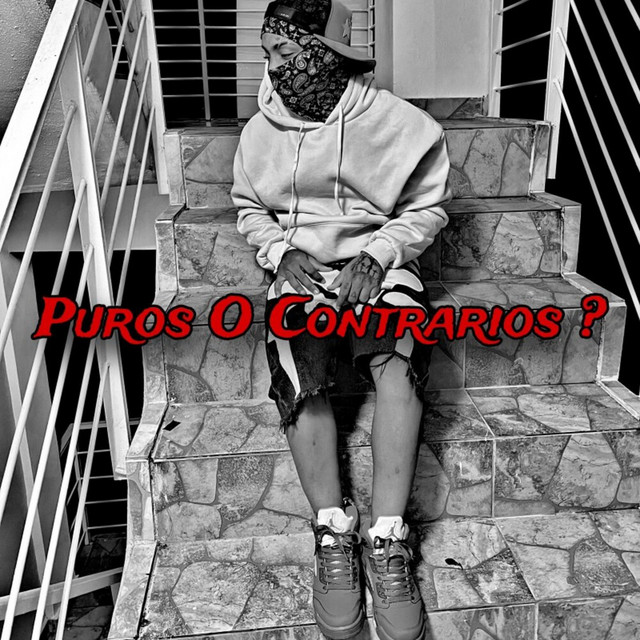 Puros O Contrarios