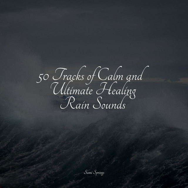 50 Tracks of Calm and Ultimate Healing Rain Sounds - Album by ...