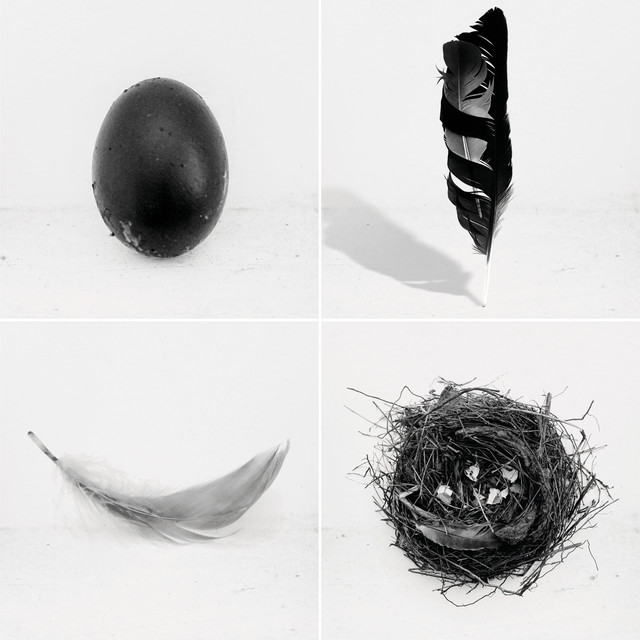 The Singles cover art