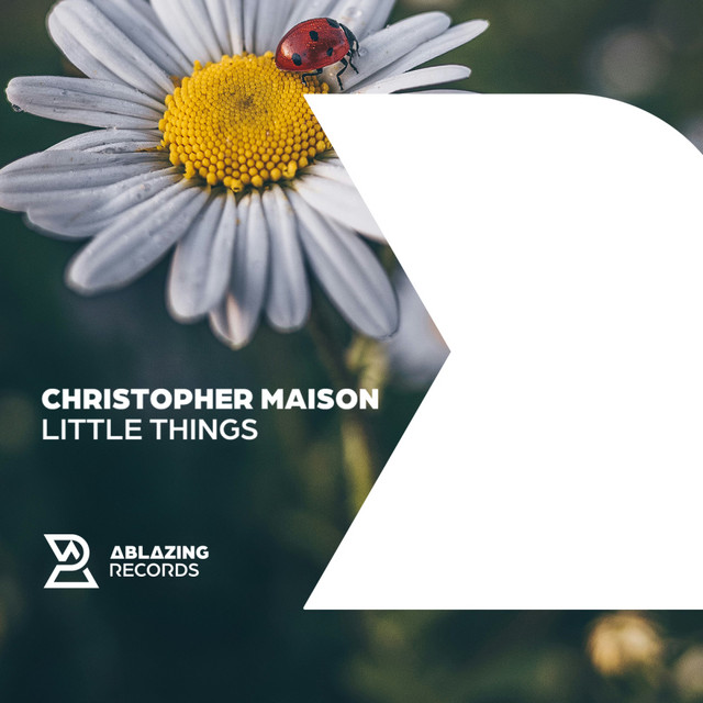Little Things - Extended Mix album art