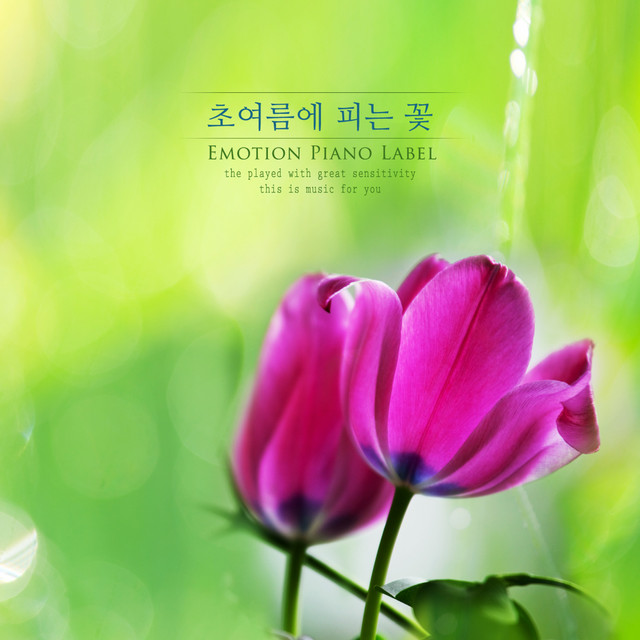 Flowers blooming in early summer cover art