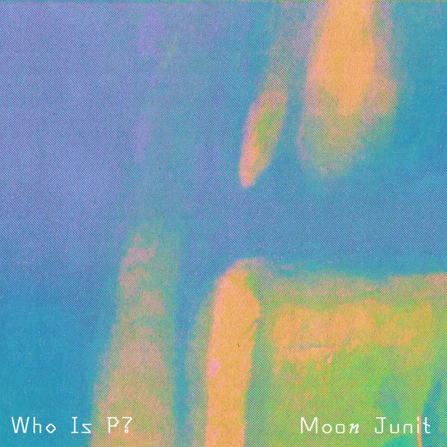 Pochette de Who Is P?