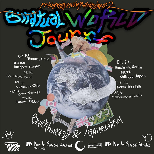 Kpdfjgspogjhreukhgsevhmstsgbefs 2: Birdtual World Tourff cover art