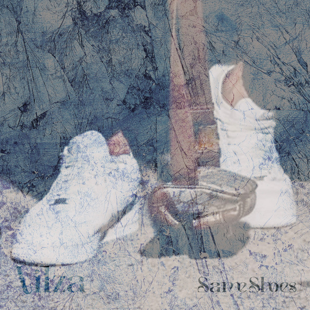 Same Shoes cover