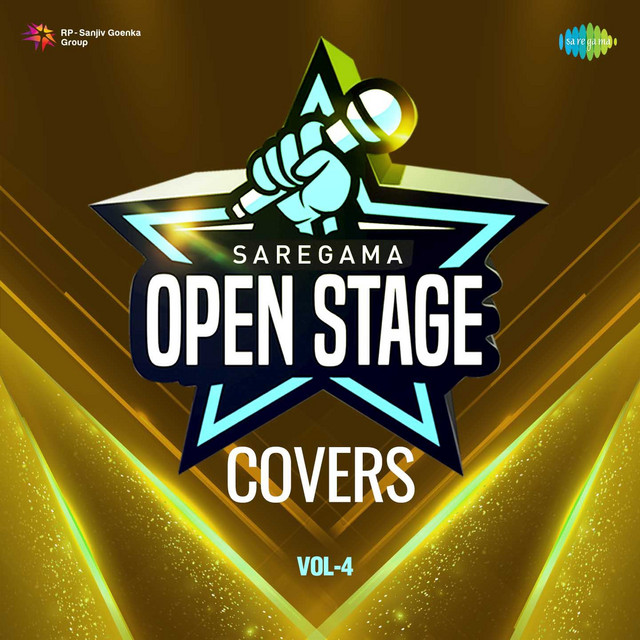 Ek Ajnabee Haseena Se cover art