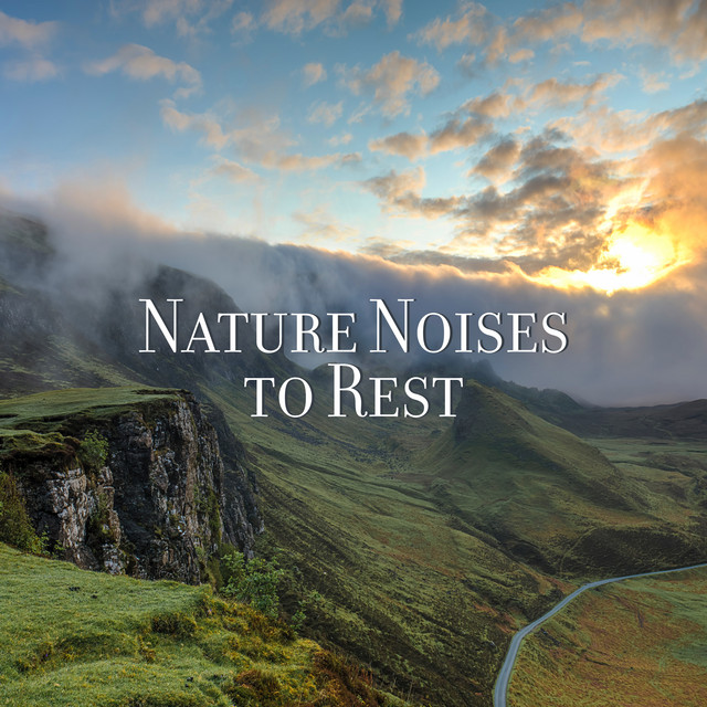 Nature Noises to Rest - Album by Nature Sounds for Sleep and Relaxation ...