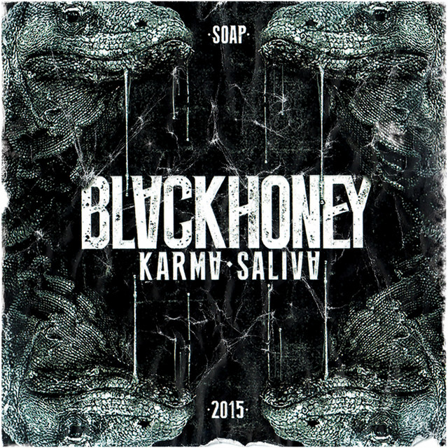 Karma Saliva cover