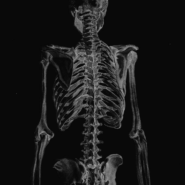 Bones Turnt To Dust cover art