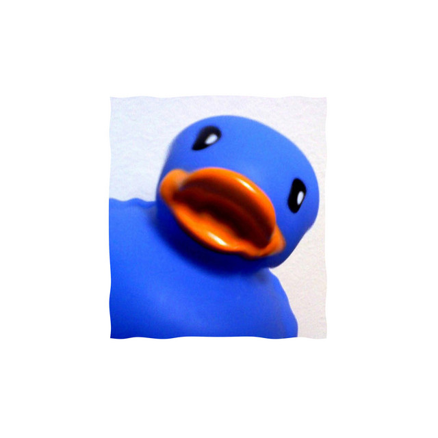 blue duck cover art