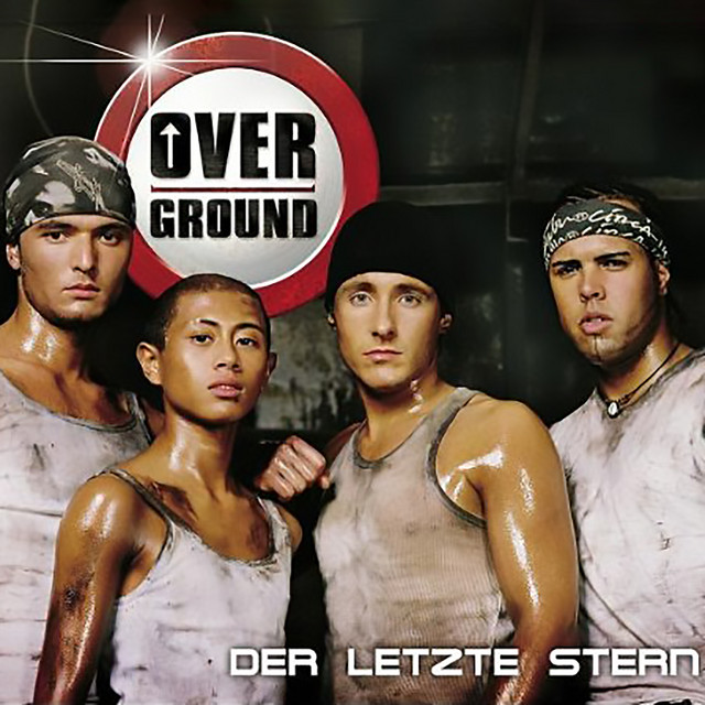 Der letzte Stern cover