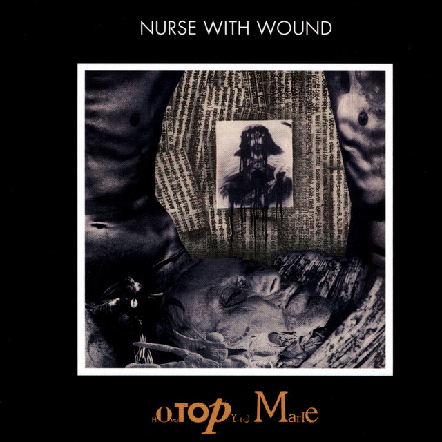 洋楽 Homotopy to Marie Nurse with Wound Homotopy to Marie - Album by Nurse With Wound | Spotify
