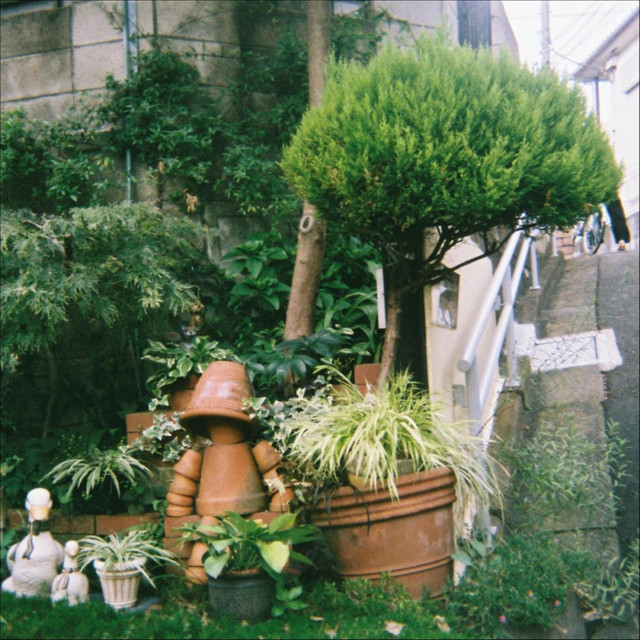 slowalk cover art