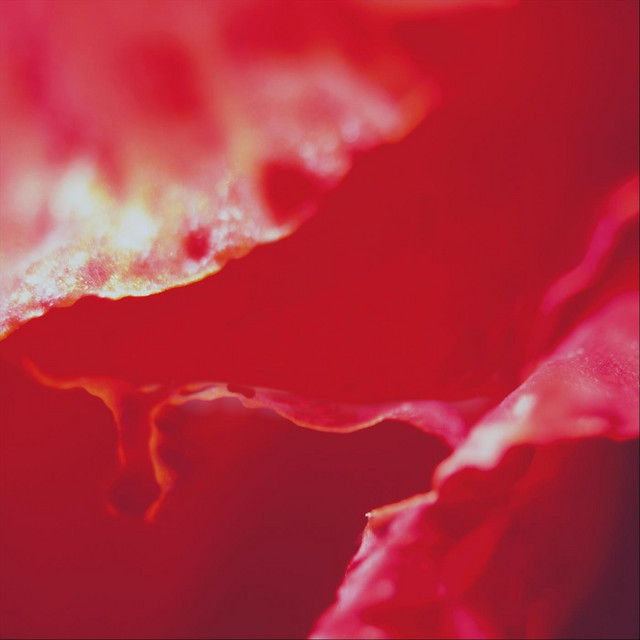 Engender cover art
