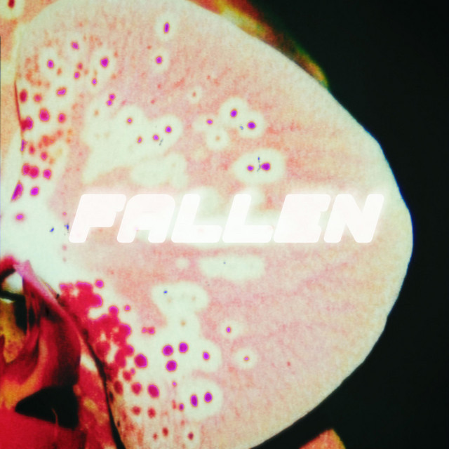 Fallen cover art