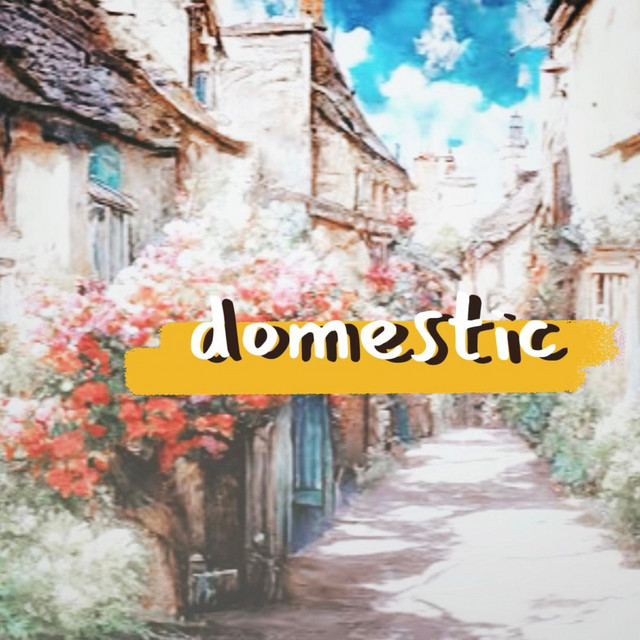 domestic cover art