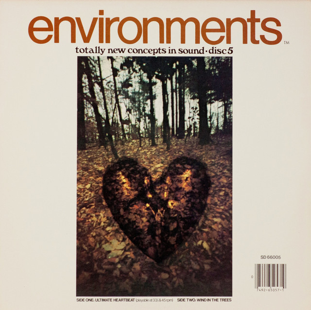 Environments 5 cover art