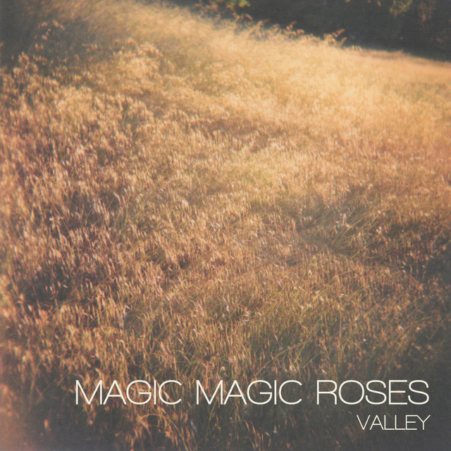 Valley cover art