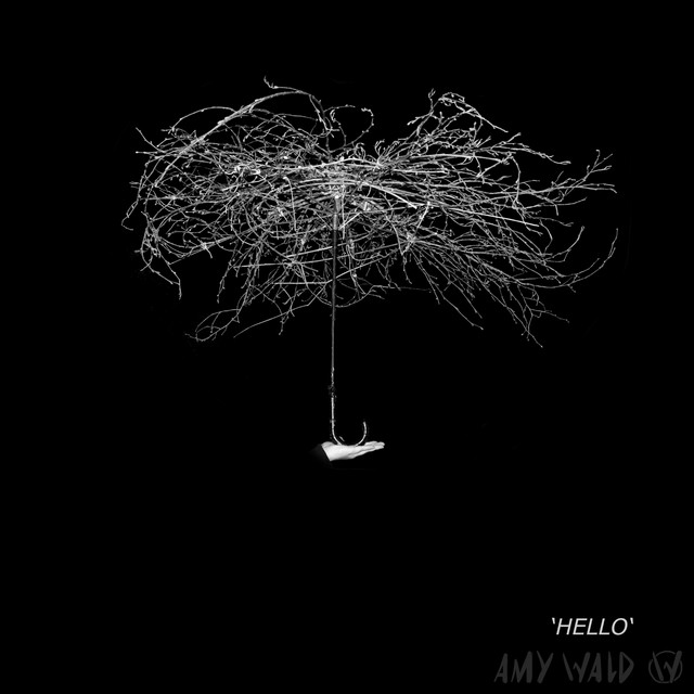 Hello cover art