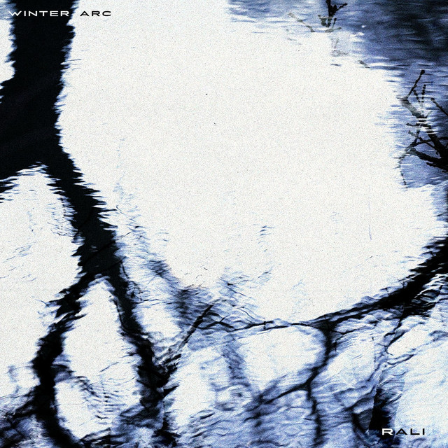 WINTER ARC cover art