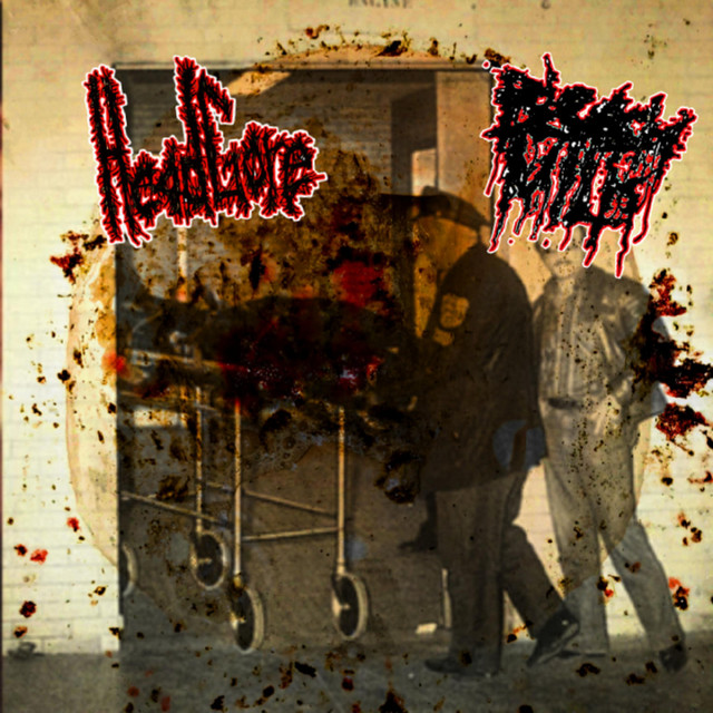 Split cover art
