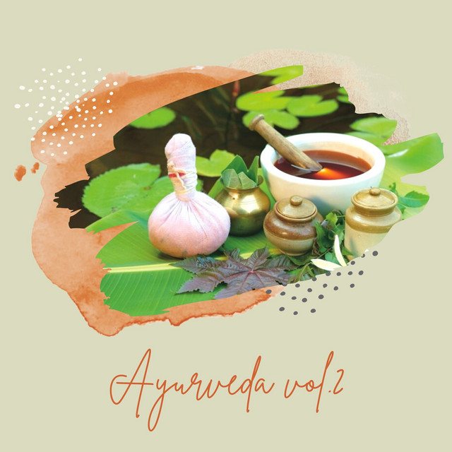 Ayurveda vol.2 cover art