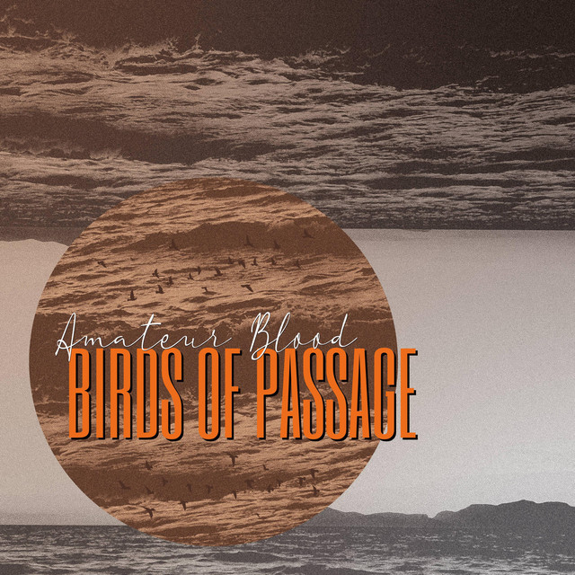 Birds Of Passage (single)