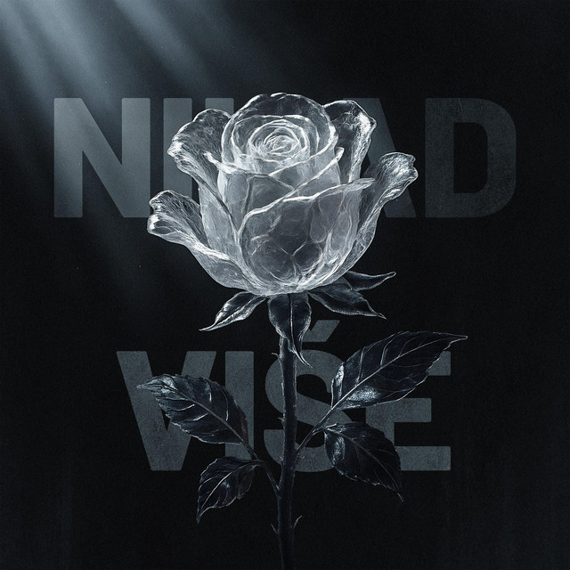 Nikad vise cover