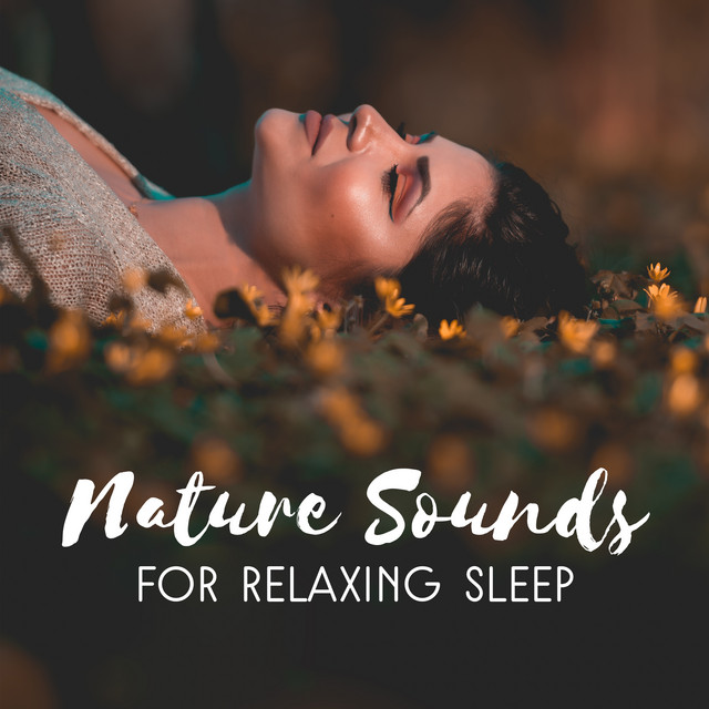 Nature Sounds for Relaxing Sleep - Album by Relajación | Spotify