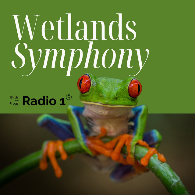 Wetlands Symphony