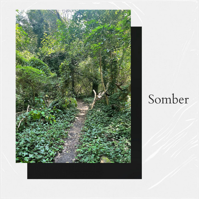 Somber cover art