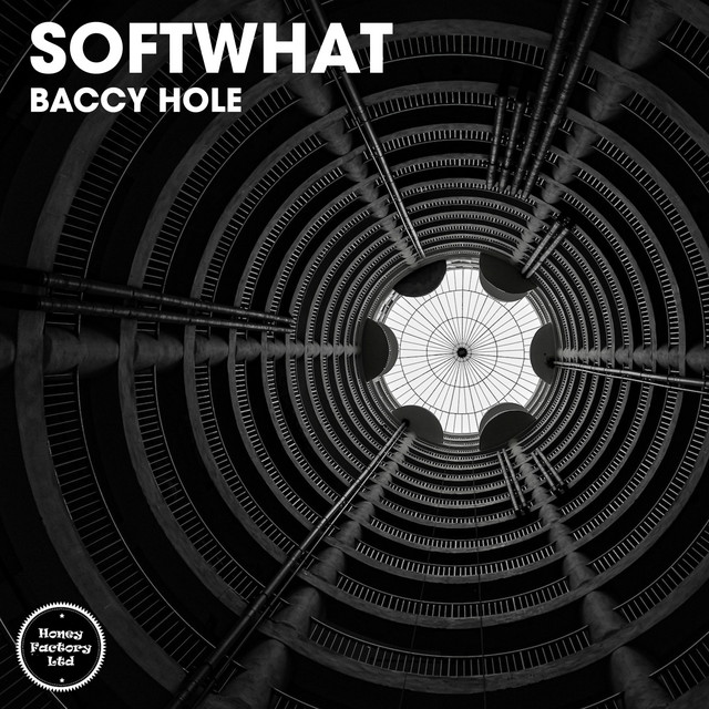 Baccy Hole cover art