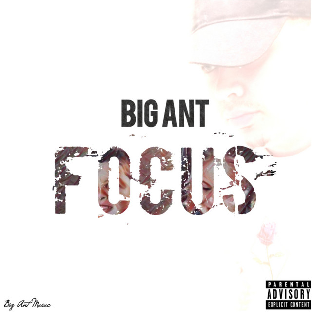 Focus - Album by Big Ant | Spotify