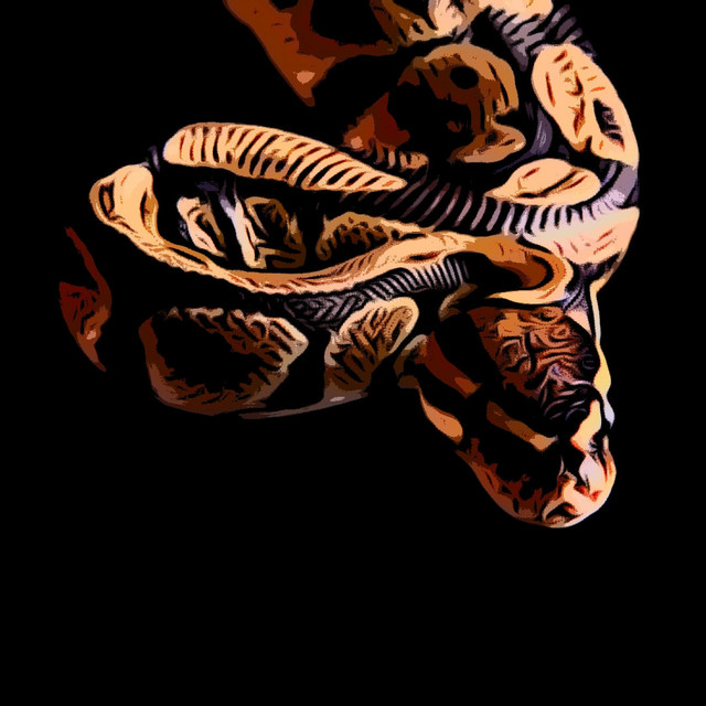 Python cover art