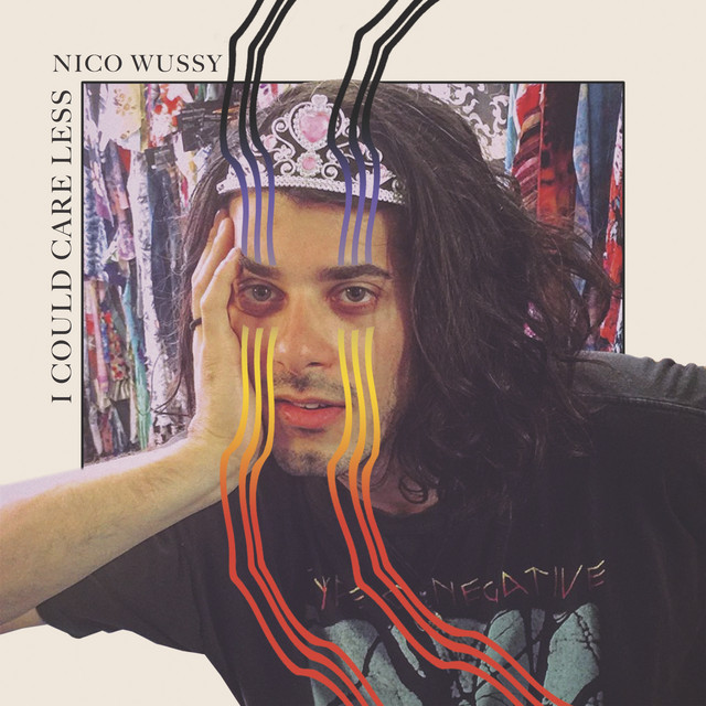 I Could Care Less cover art