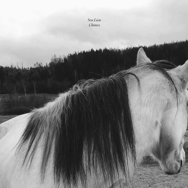 Chimes cover art