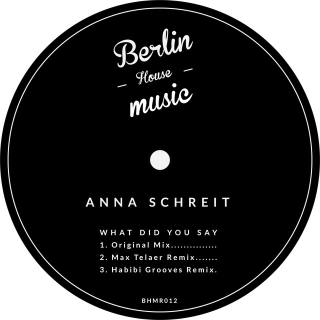 What Did You Say - Max Telaer Remix album art