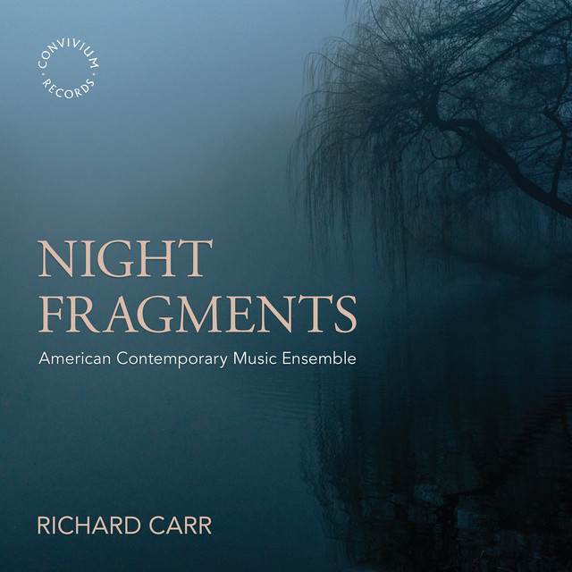 Night Fragments cover art