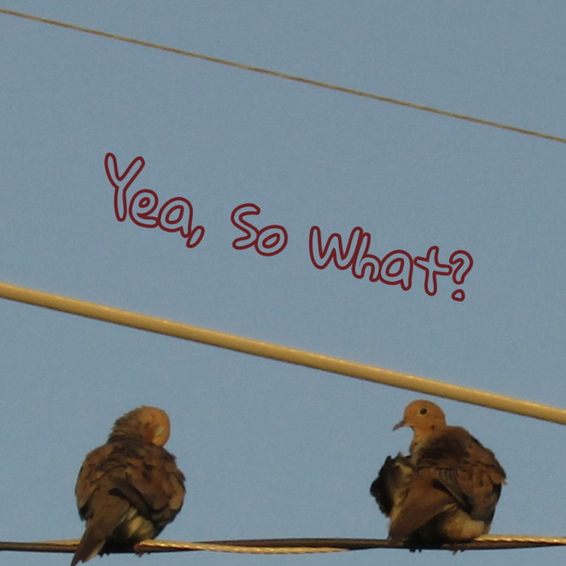 Yea, So What?